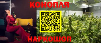 PSILOCYBIN Будённовск