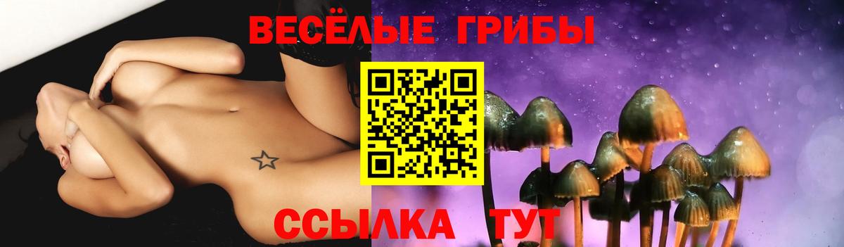 Галлюциногенные грибы прущие грибы  Псилоцибиновые грибы Psilocybe  Липецк  Вход с VPN 
